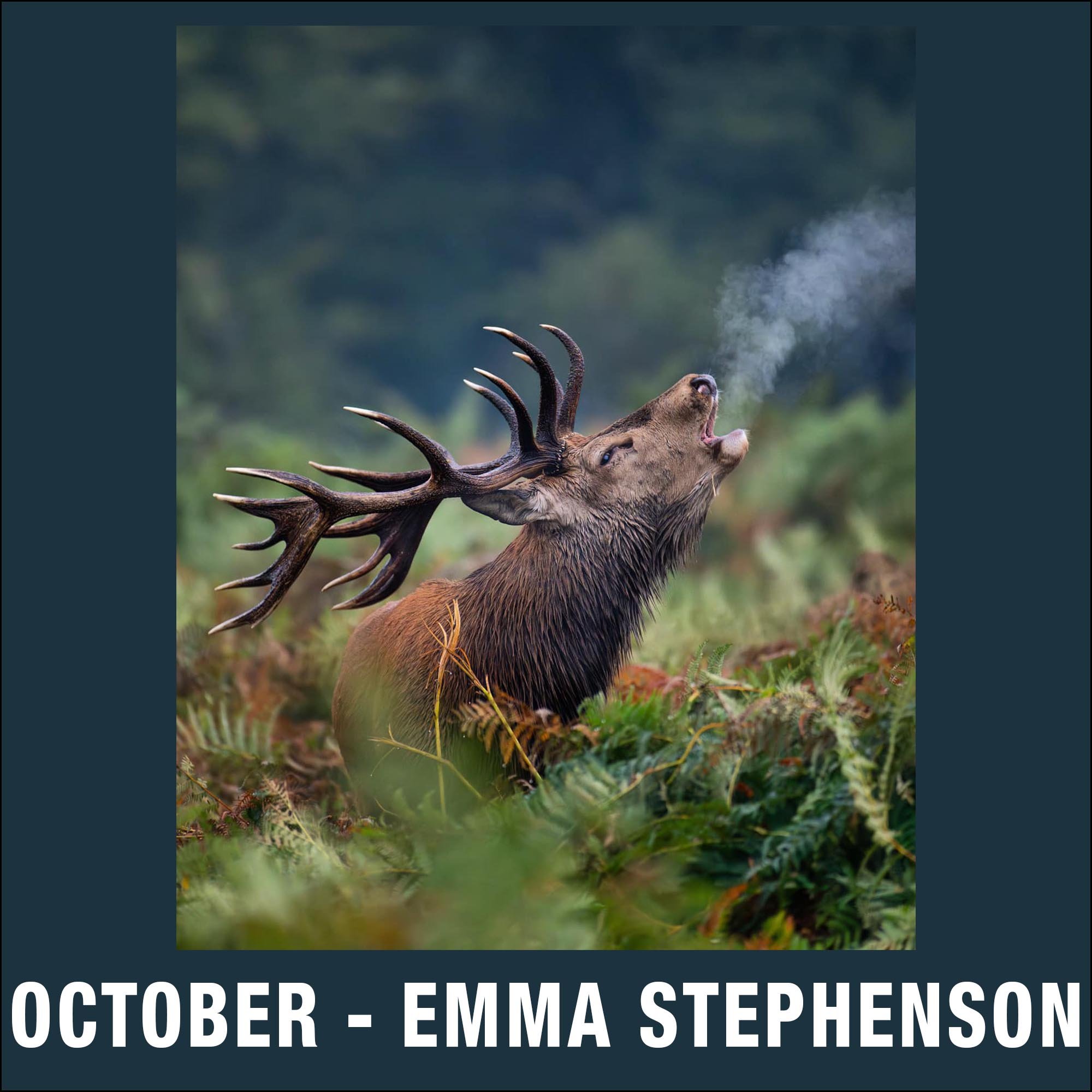 October – Emma Stephenson