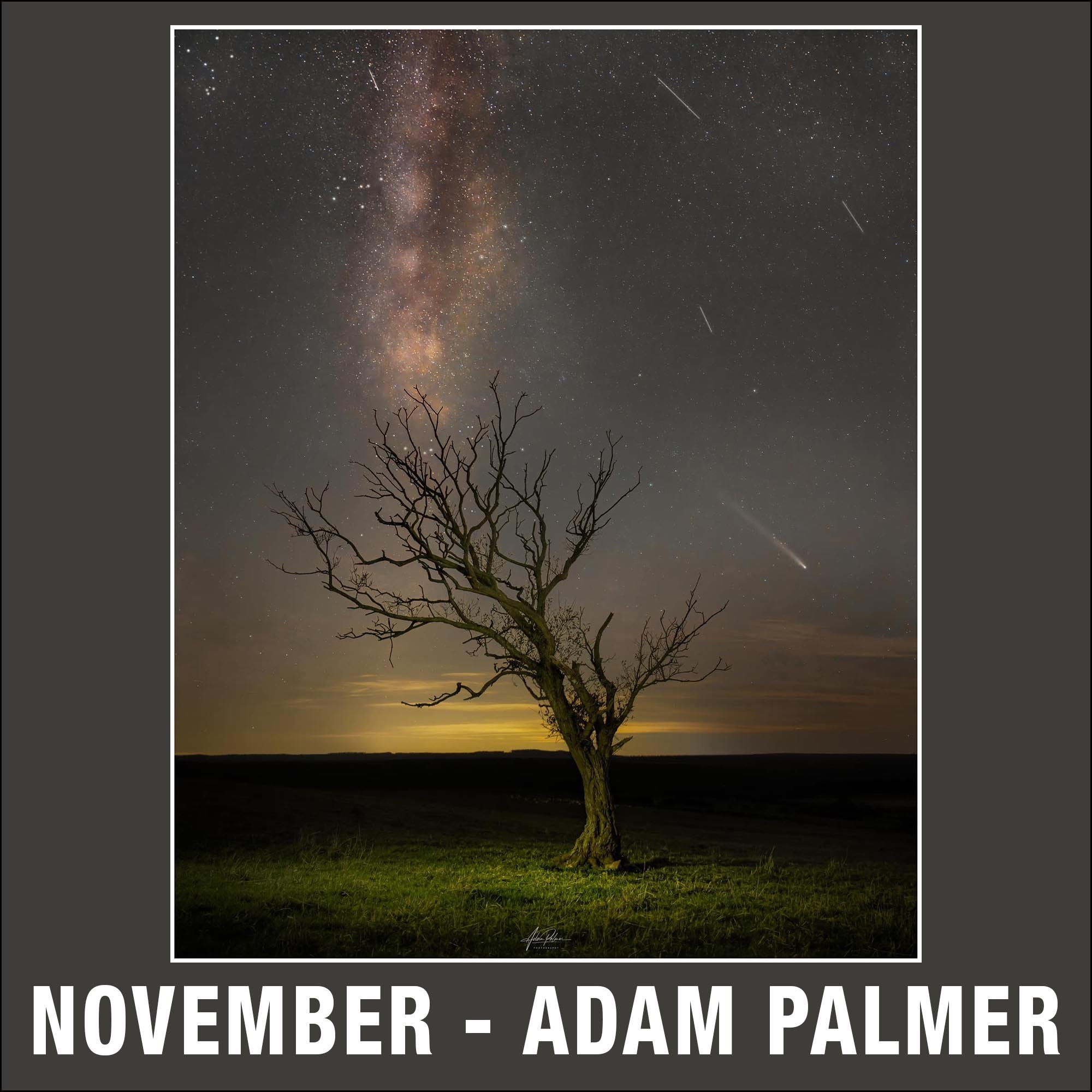 November – Adam Palmer