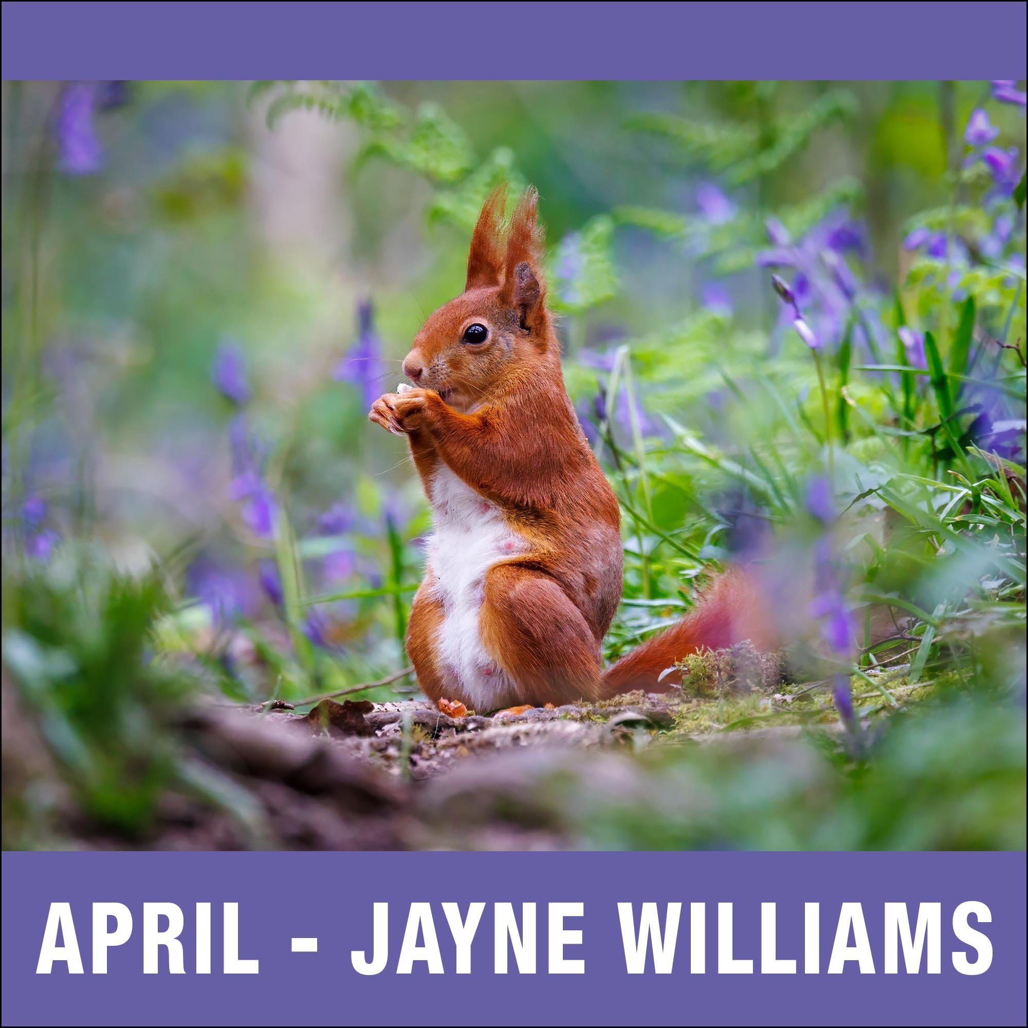 April – Jayne Williams