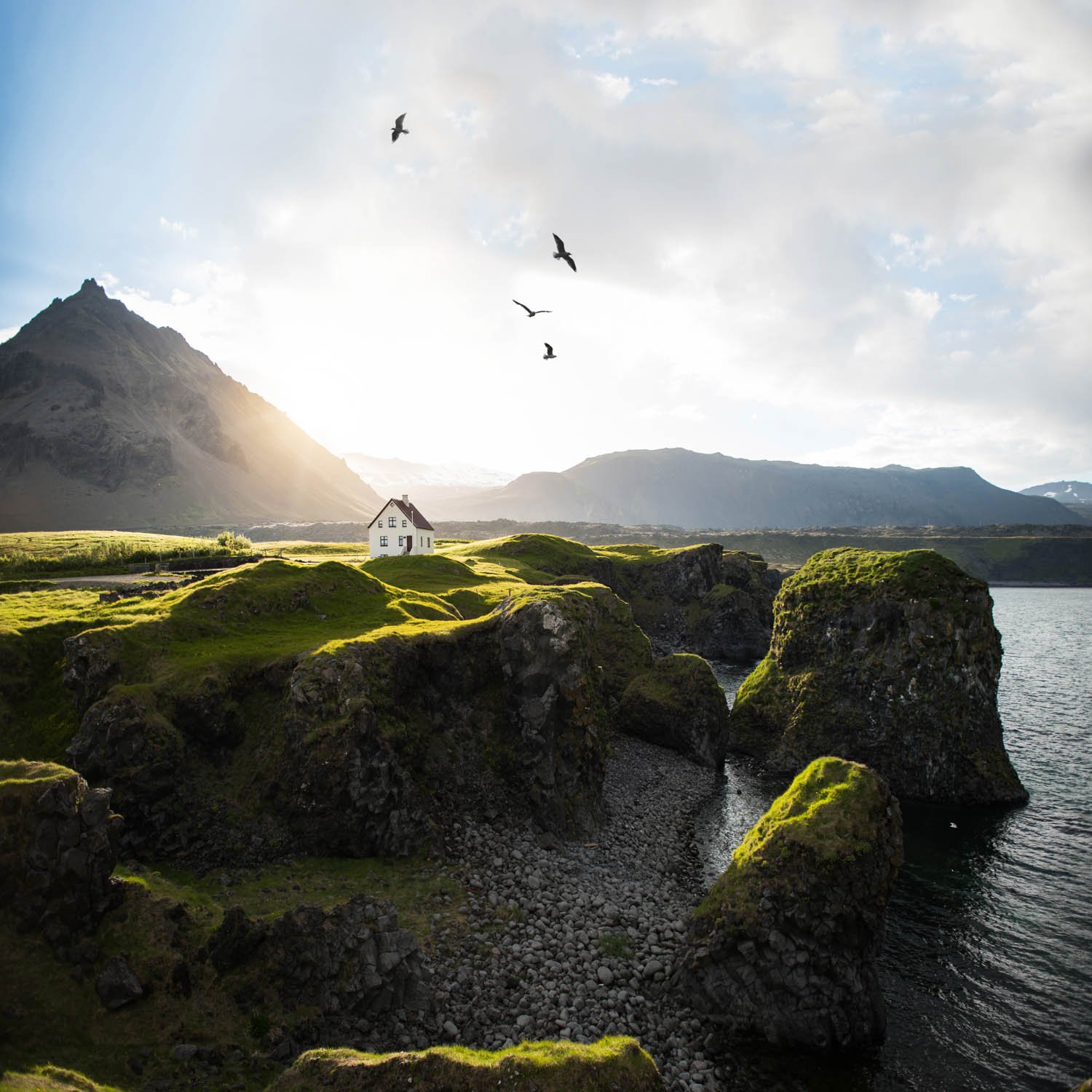 Arnistapi Midnight Sun 1x1_1500px-60.jpg