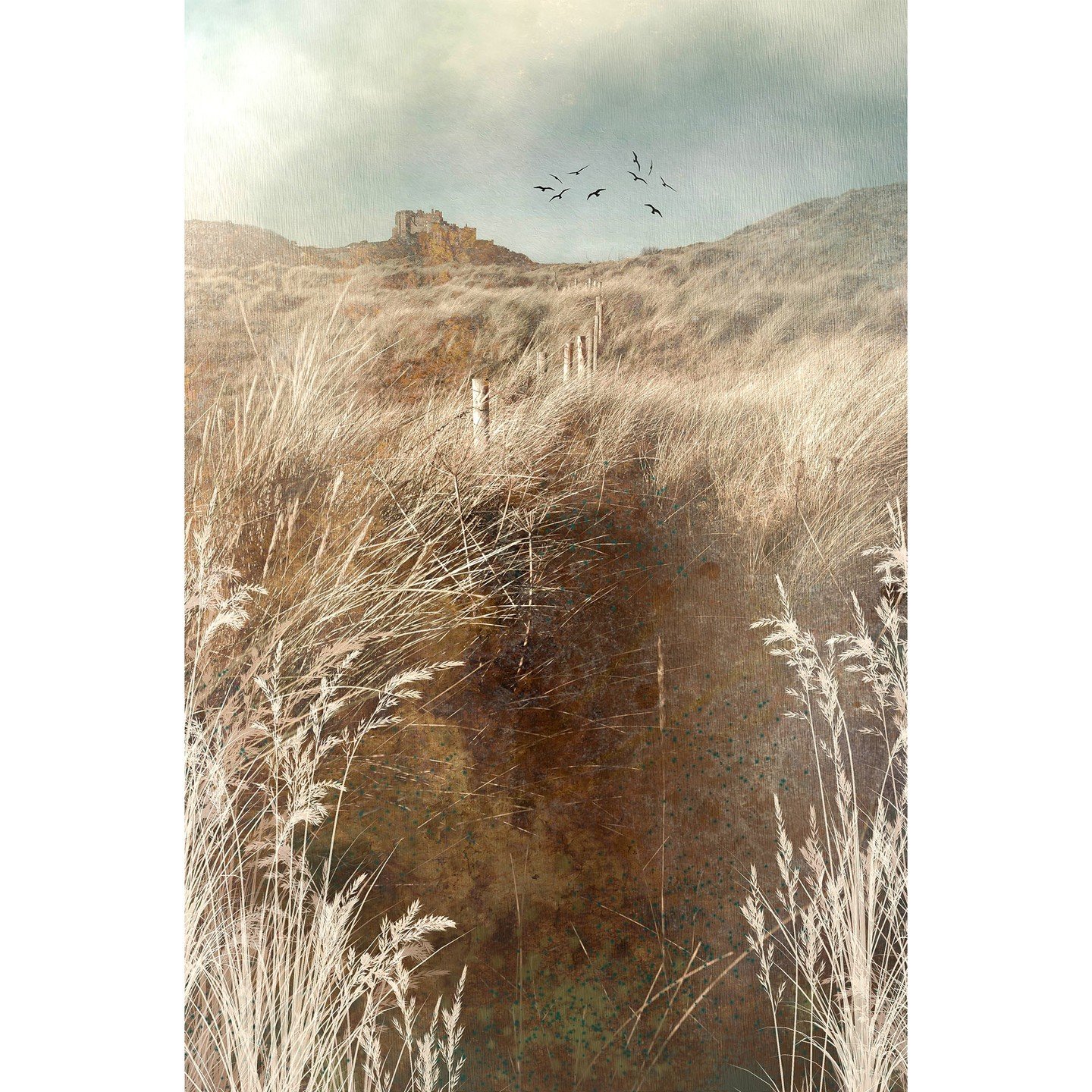 Discover your inner artist 🎨⁠
Swipe for inspiration ➡⁠
⁠
Join professional Fine Art Photographer @trudy_kepke_fine_art as she teaches you how to transform your photography into unique pieces of artwork.⁠
⁠
Learn her incredibly unique application of 