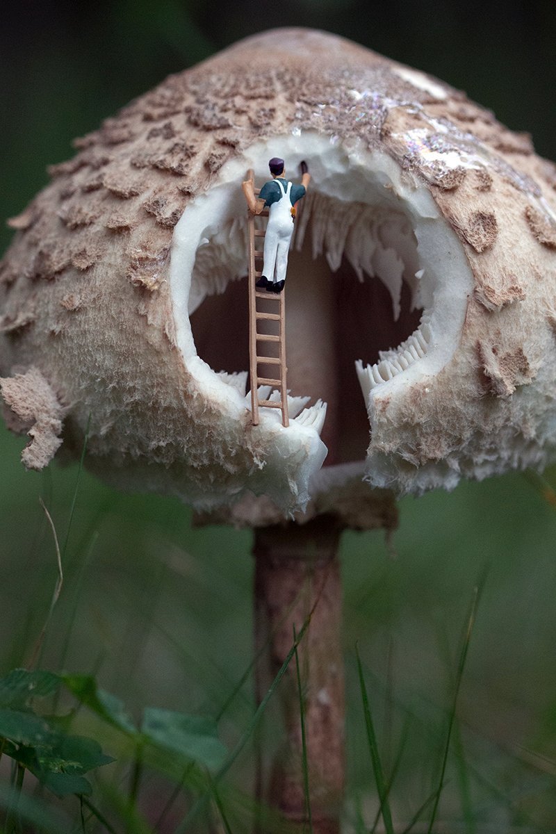 Maureen Anderson 2.jpg