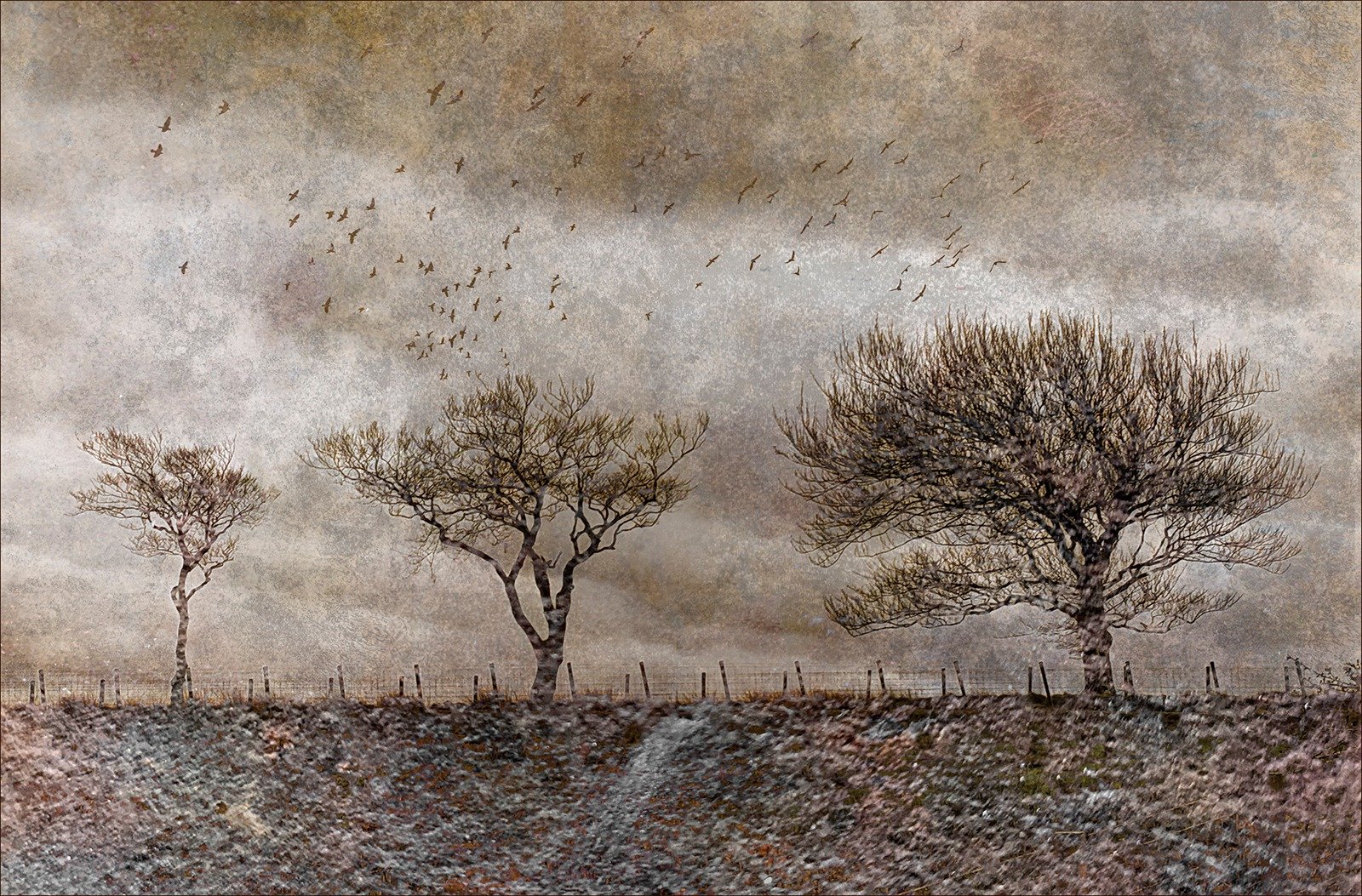 Maureen Anderson ~ Changing Seasons.jpg